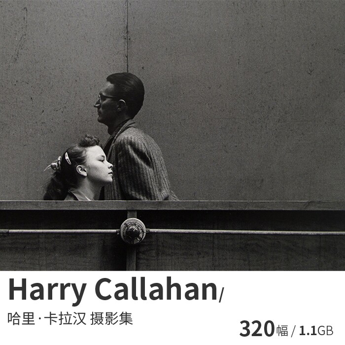 harry callahan 哈里卡拉汉 观念艺术摄影大师作品集图片素材资料
