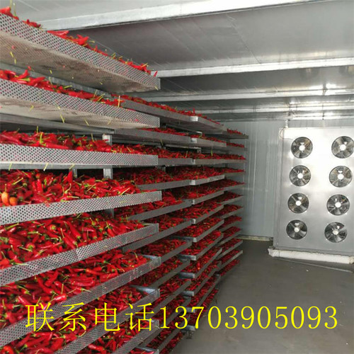 热泵式辣椒豆角菌菇水果烘干房