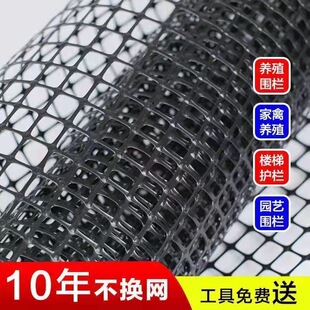 土工格栅塑料网格防护网小孔养鸡养鸭围栏护栏网庭院养殖网圈玉米