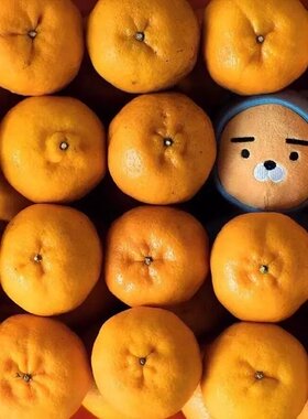 韩国 卡考 ryan狮子 蓝衣狮子公仔玩偶 睡衣狮子 礼物