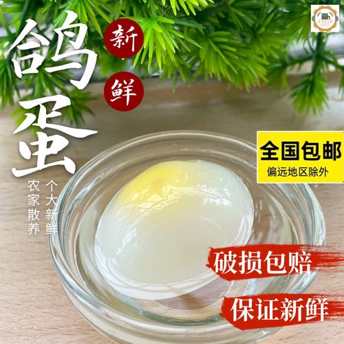 鸽子蛋新鲜30枚615克以上白鸽蛋