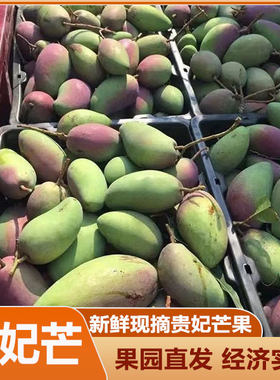 广西百色贵妃芒果新鲜香甜整箱当季树上熟辣椒忙亡果孕妇小水果甜