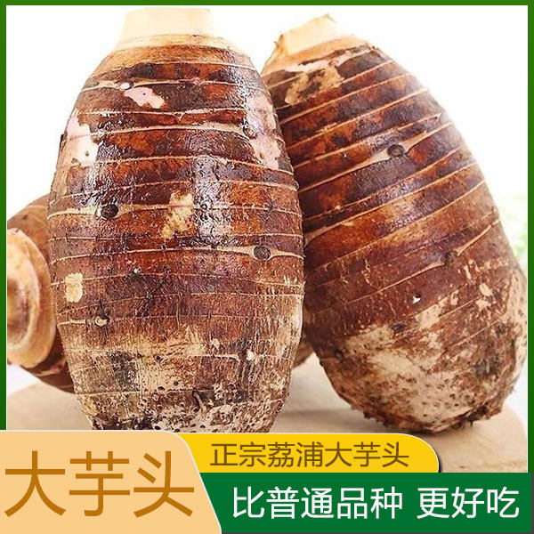 正宗广西荔浦芋头新鲜大芋头鲜香蔬菜紫藤毛芋头香芋槟榔芋紫色芋