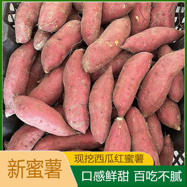 糖心红薯新鲜板栗蜜薯农家西瓜红番薯沙地巴马蜜薯小香薯整箱