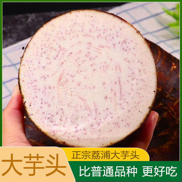 特大一 正宗张溪香芋韶关乐昌特色炮弹芋头新鲜槟榔芋头
