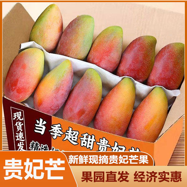 广西贵妃芒果超水果香甜新鲜水果香甜特大当季整箱树上熟南宁特产