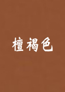 定制浅咖啡色防水防晒外墙乳胶漆浅咖啡深咖啡色耐候耐久晴雨漆墙