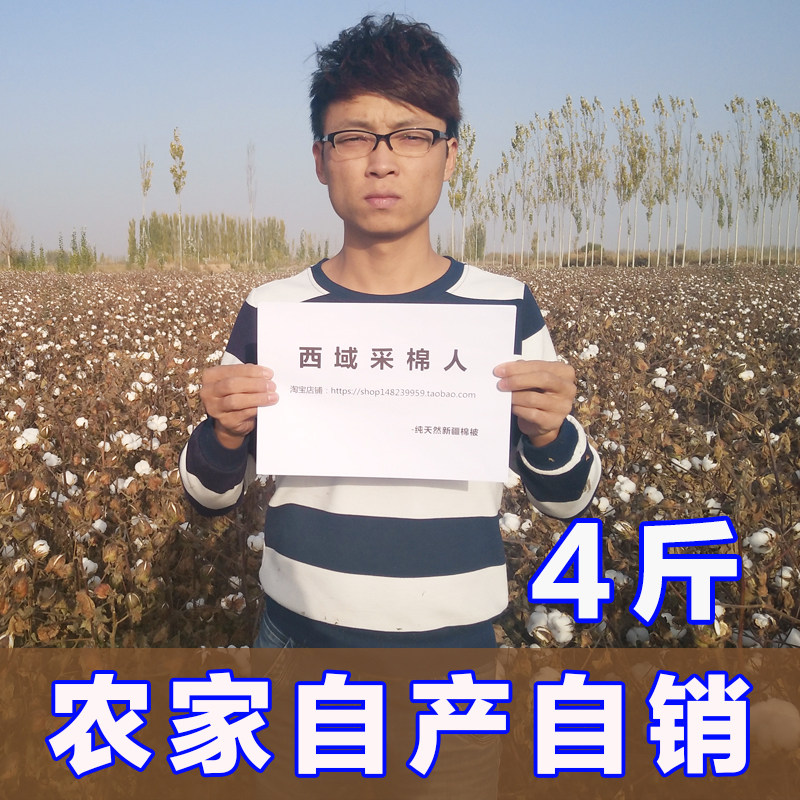 新疆棉被4斤手工棉花被子棉芯冬被纯棉被芯棉絮网套被褥子垫被