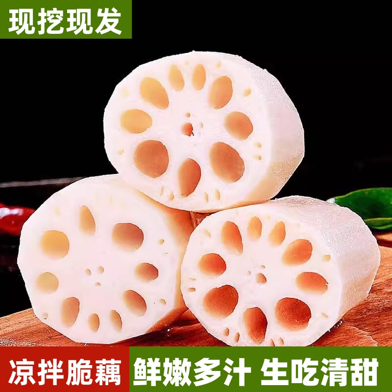 新鲜农家现挖嫩莲藕当季新藕洪泽湖九孔白莲藕炒菜凉拌做馅料炖汤