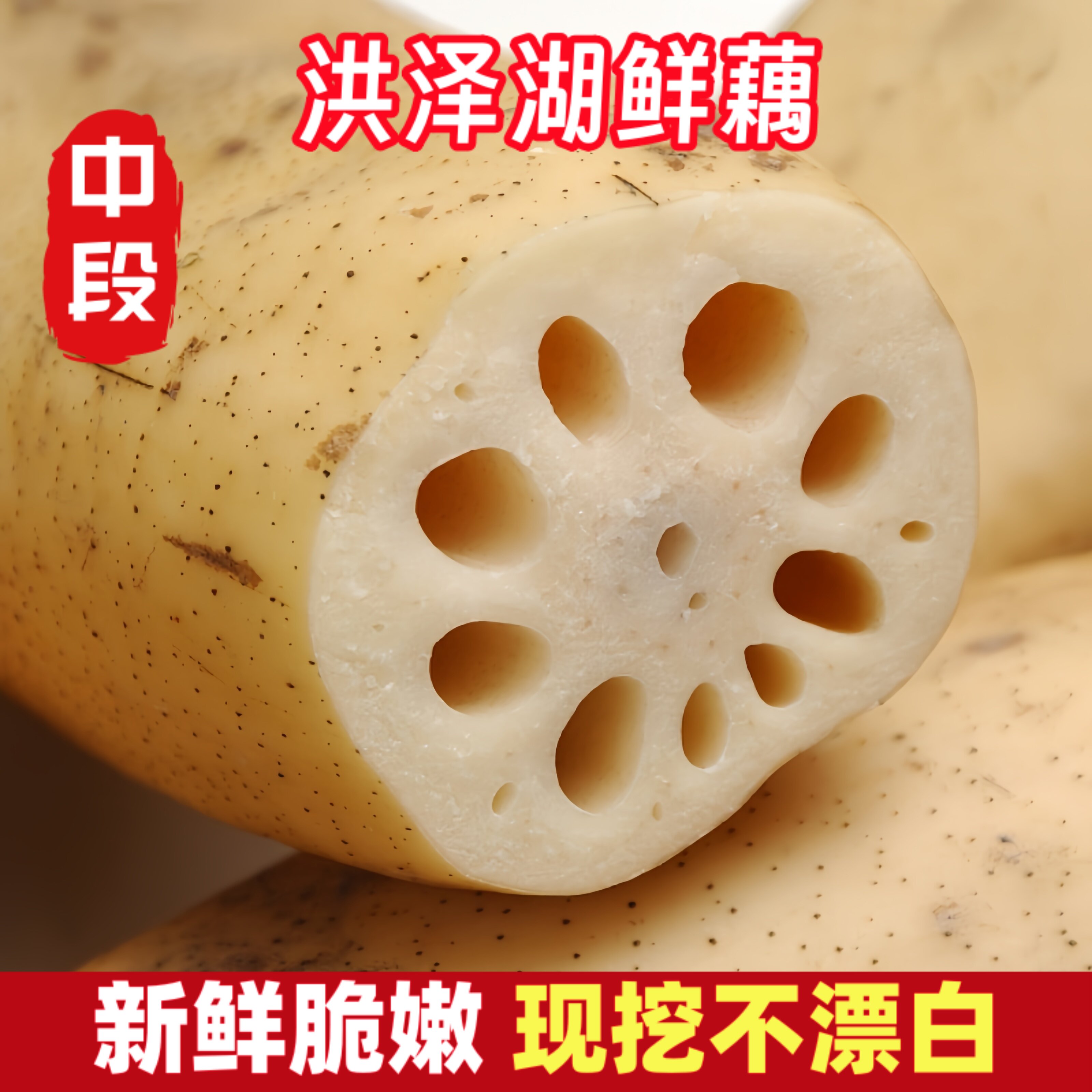 洪湖粉藕现挖珍珠藕莲蓬