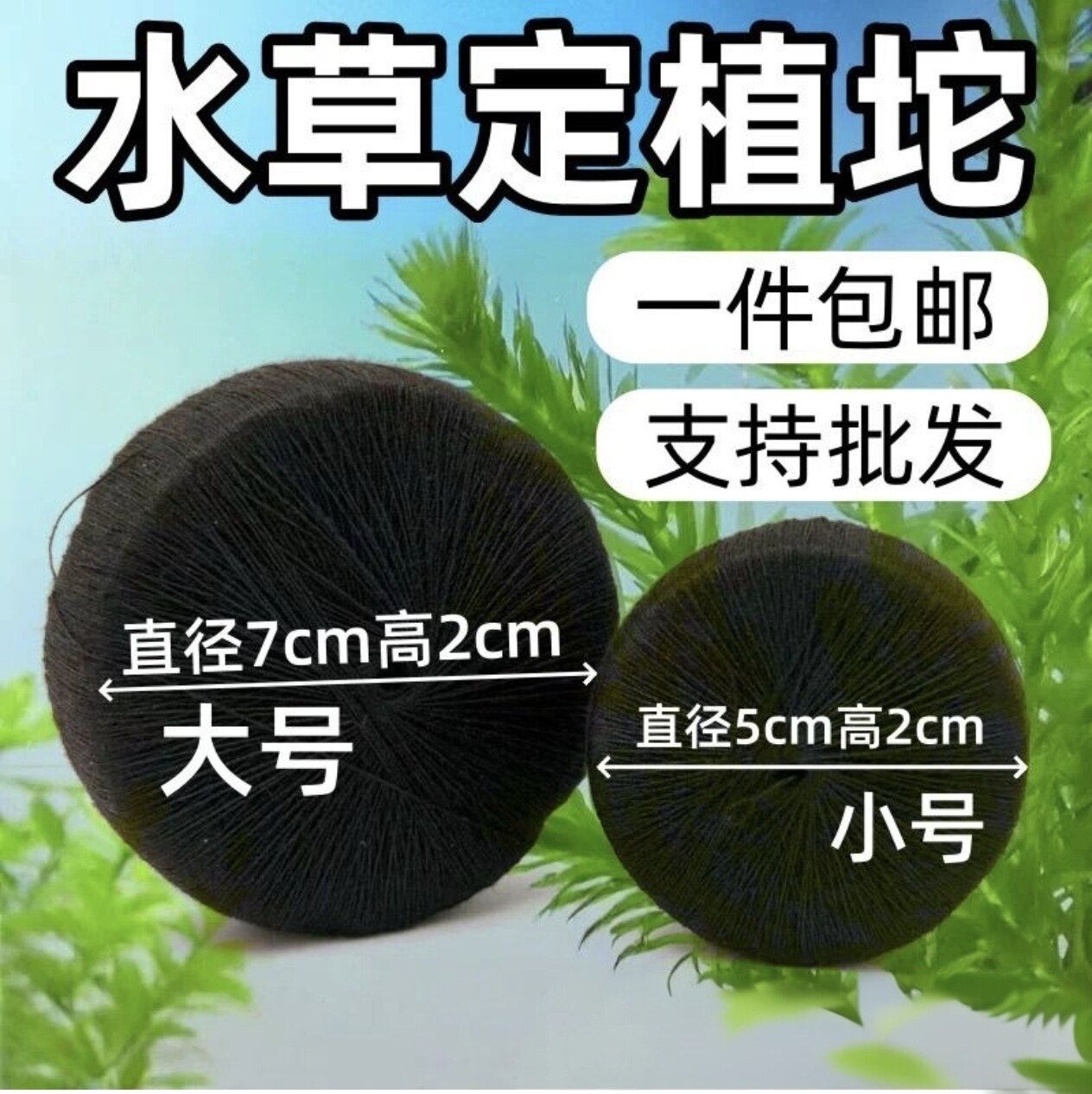 有机天然水草定植坨鱼缸造景育苗图片