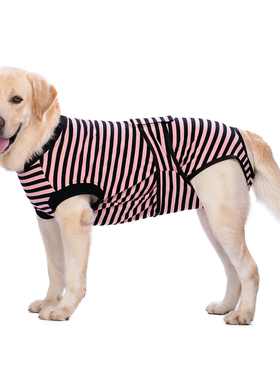 宠物狗狗生理裤全包裹母狗防骚扰避孕卫生姨妈裤公狗绝育术护理服