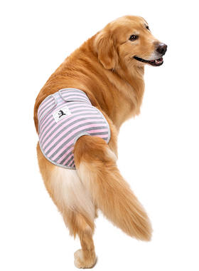 狗狗生理裤拉布拉多金毛中大型犬母狗月经裤狗狗防骚扰宠物安全裤