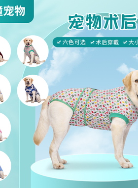 大狗生理裤母狗姨妈裤安全裤女狗专用经期防交尿裤狗狗伤口防舔服
