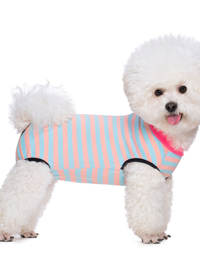 宠物小狗衣服包肚子四脚衣服夏季薄款泰迪比熊连体背心绝育服衣服