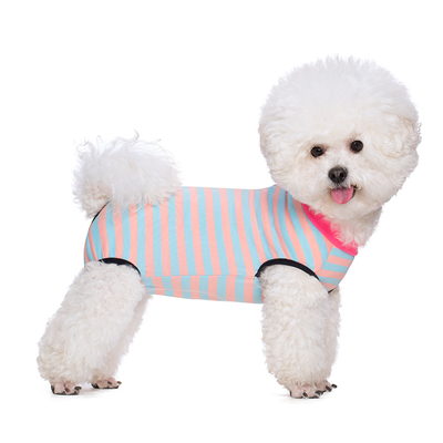 背心绝育服棉小狗衣服MIAODODO