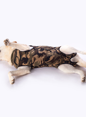 宠物衣服薄款金毛拉布拉多中大型犬绝育防舔服防骚扰宠物四脚背心