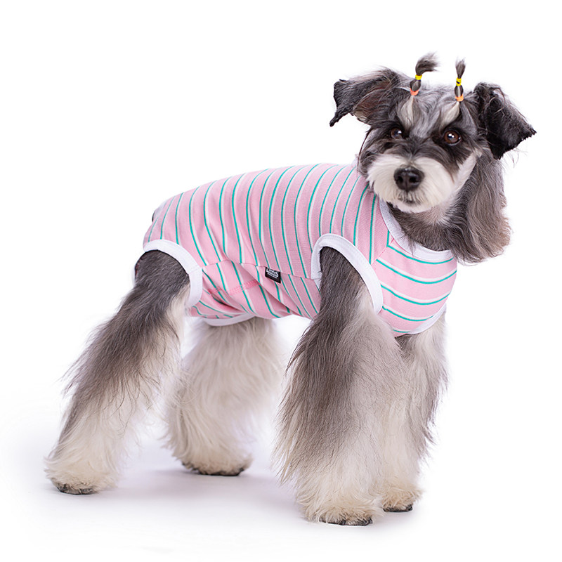 狗狗生理裤宠物母狗连体姨妈裤防公狗骚扰防乱尿断奶服四脚生理裤,宠物/宠物食品及用品,狗宠物服装/雨衣,淘宝优惠券,粉丝福利购,淘宝优惠卷