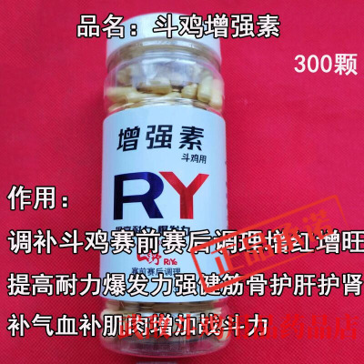 天津南洋日野增加耐力调理比赛