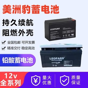 LEOPARD美洲豹蓄电池12V7A24A38A65A100AH消防直流屏UPS应急备用