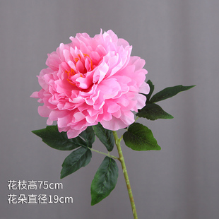 饰摆放花 仿真单头1头富贵牡丹大花朵绢花假花塑料客厅落地桌面装