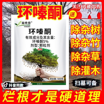 梧桐芦苇桉树杂竹扫墓除草烂根剂