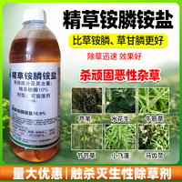 精草铵膦铵盐安胺磷正品安小七除草烂根剂农药牛筋草杂草杀草灭草