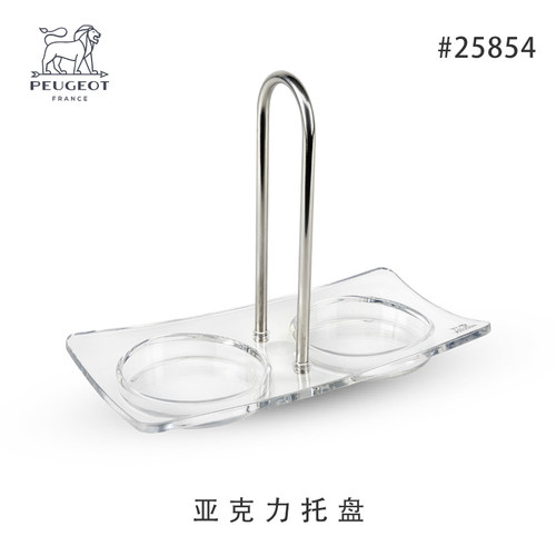 法国Peugeot标致亚力克托盘