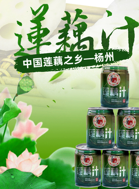 怡味莲藕汁孕妇饮料果蔬汁代餐蔬菜汁扬州特产绿色食品240ml*24罐