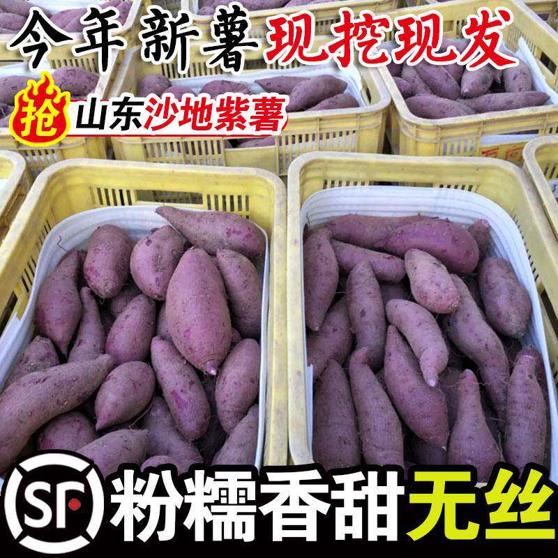 山东紫罗兰沙地紫薯新鲜小个农家自种现挖5斤低脂地瓜非越南番薯