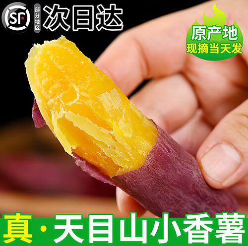 小香薯新鲜板栗红薯沙地临安正宗农家天目山小番薯蜜薯地瓜
