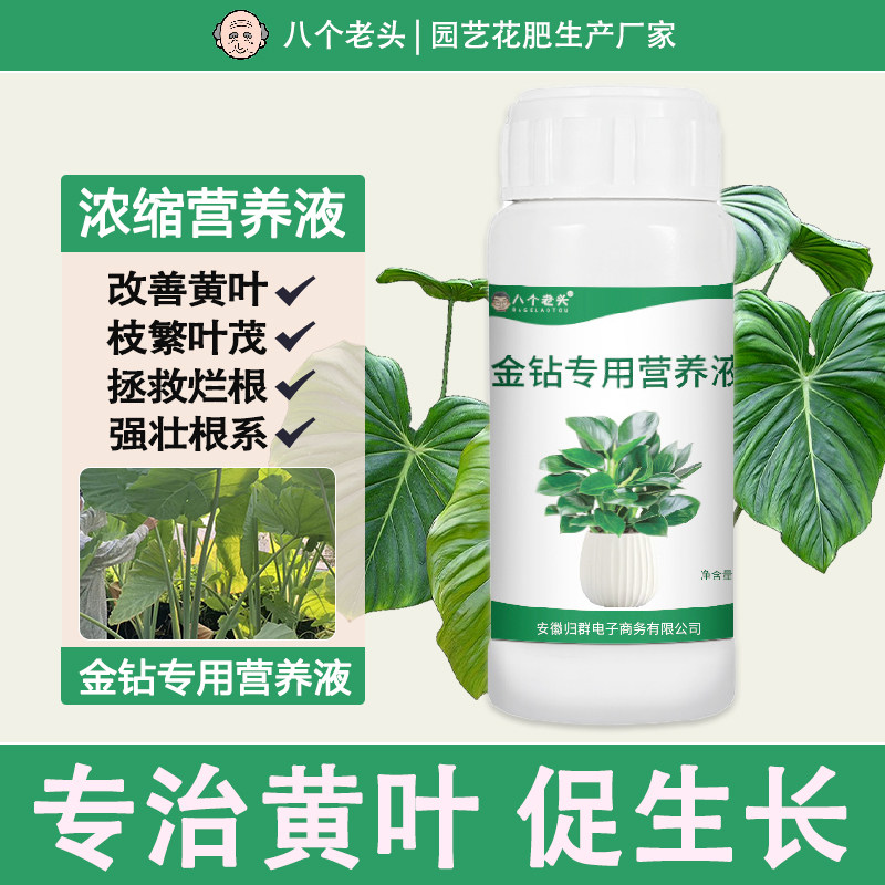 八个老头金钻专用营养液肥卷边绿植通用型免稀释植物花肥料,鲜花速递/花卉仿真/绿植园艺,家庭园艺肥料,淘宝优惠券,粉丝福利购,淘宝优惠卷