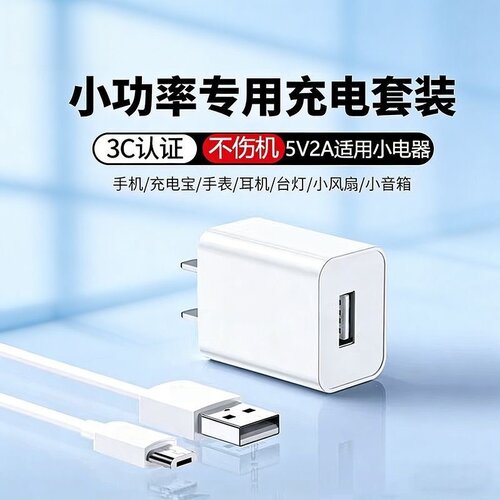 电仕霆5V2A通用USB充电头10W慢充
