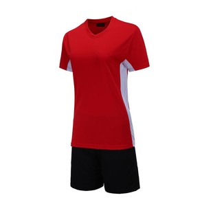 短袖 男羽毛球服乒乓球服女学生气排球衣训练队服 排球服运动服套装