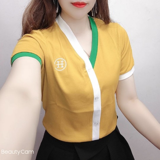 欧洲站2023年夏款刺绣v领纯T恤