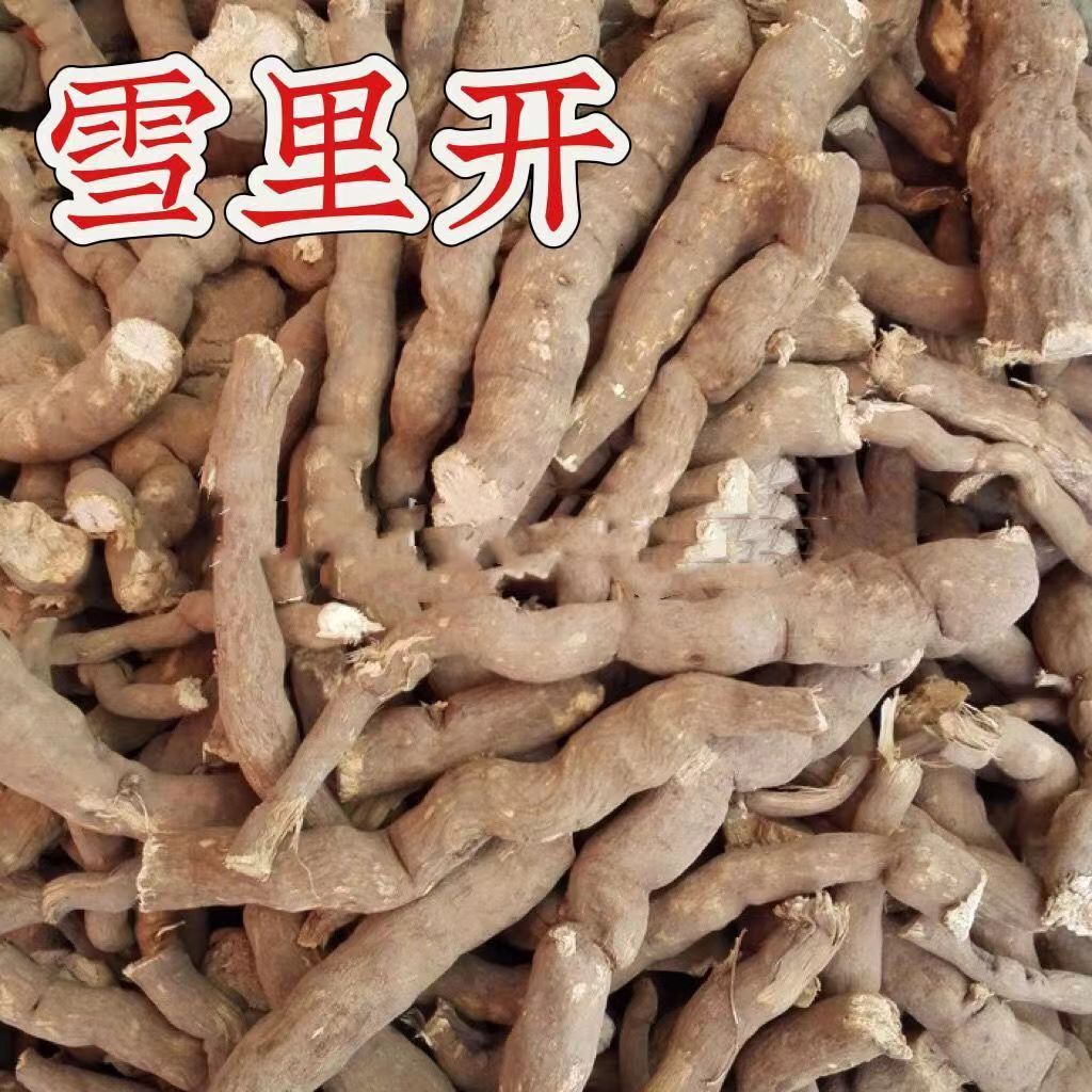 中药材雪里开根 无硫雪里开 蛇松子 拐子药 新货500g包邮