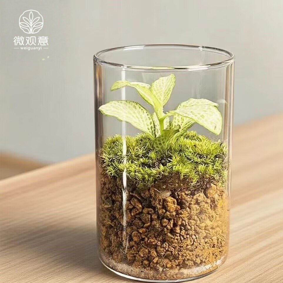 创意盆栽桌面摆件解压好物