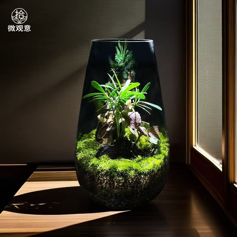 创意微景观幽谷景观绿植盆栽