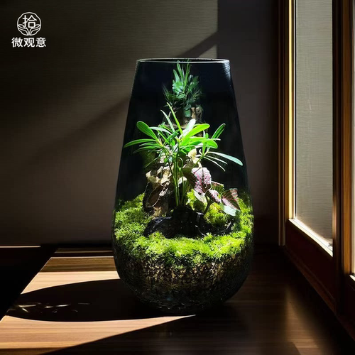 创意微景观幽谷景观绿植盆栽
