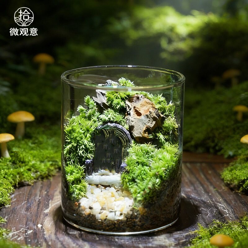 苔藓微景观室内桌面易养懒人绿植