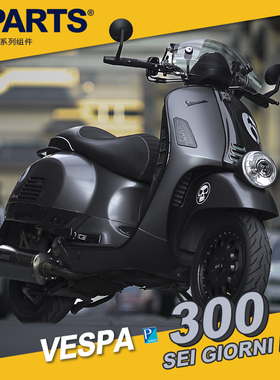 SPARTS斯坦 VESPA 6日6天SEI GIORNI II 300摩托钛合金螺丝金蓝色