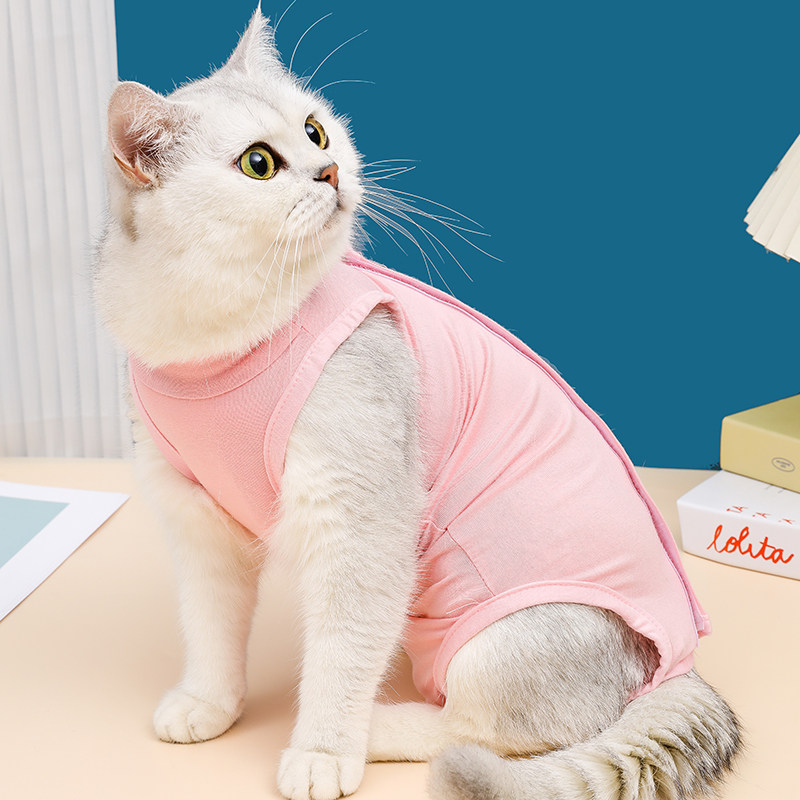 母猫绝育服断奶服手术后服防咬防舔透气弹性防挣脱宠物猫衣服四脚