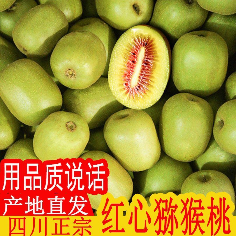 【正品】四川蒲江红心猕猴桃新鲜