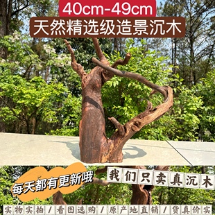 40cm 49cm水族精品小号沉木紫柚木秒沉水拱桥南美多枝镂空摆件