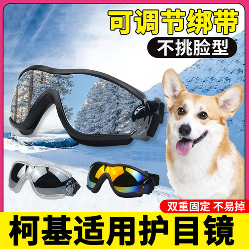 柯基专用狗狗护目镜宠物配饰小狗墨镜防风眼镜小型犬太阳镜防风镜