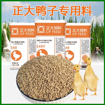 正大鸭子饲料宠物柯尔鸭小黄鹅食物打窝钓鱼小鸭喂鸭粮