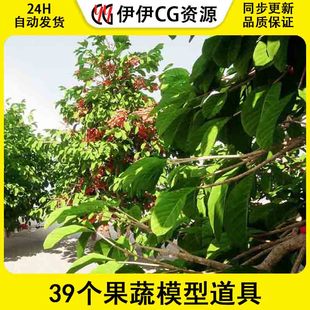 UE4虚幻5 Fruits and vegetables 田园水果蔬菜39个果蔬模型道具