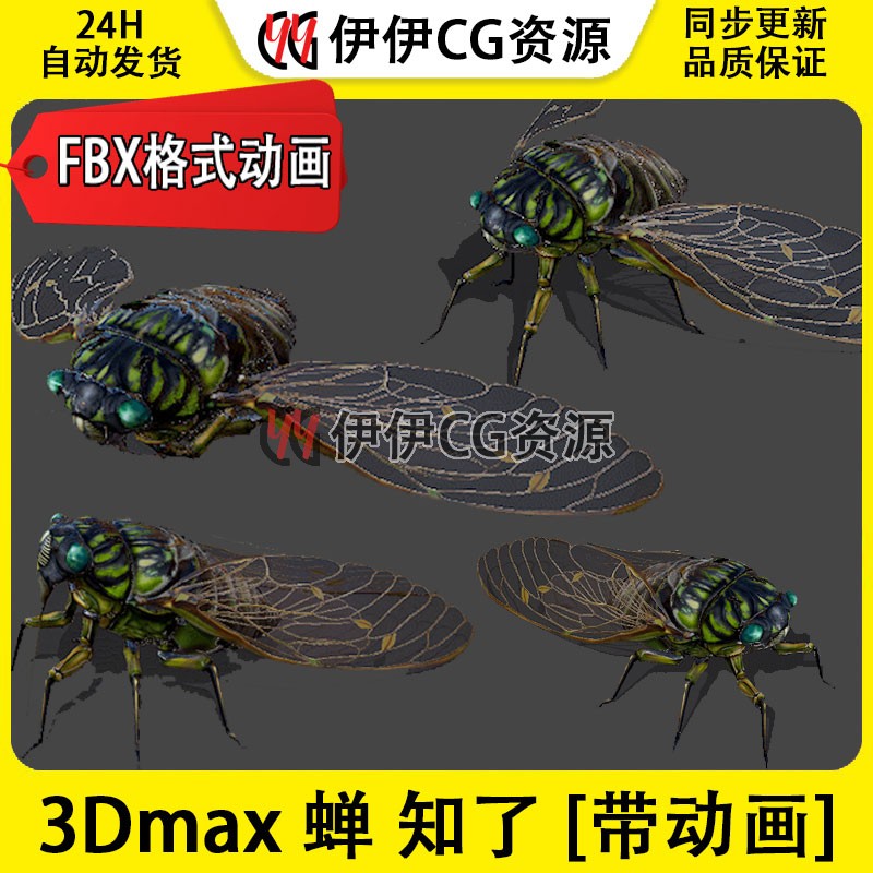 3DMax动物模型3D模型蝉知了昆虫FBX动画文件cicada飞虫哔蝉蒙皮
