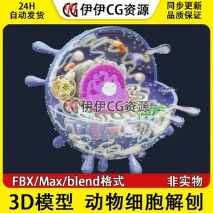 3D模型3Dmax生物模型解刨动物细胞中心体细胞膜线粒体核糖高尔基
