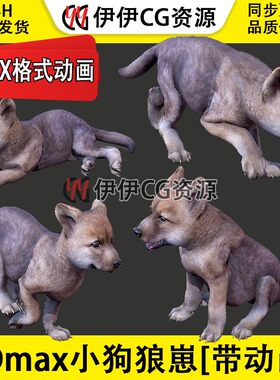 3DMax动物模型3D模型狼崽幼狼幼犬FBX动画文件3D狼狗小狗小狼wolf